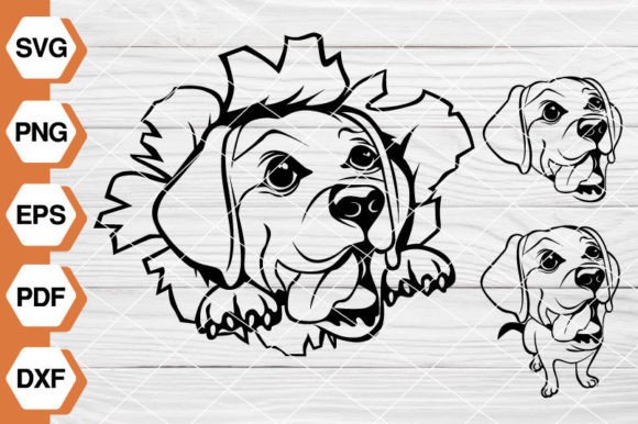 Labrador Retriever SVG EP-135: Graphics & Illustrations